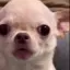 :chi3: