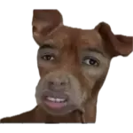 1778281378192.webp