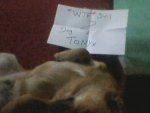 Foto-0009.jpg