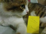 DSC02284E001.JPG