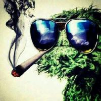 .THC.