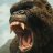 KingKong16